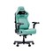 Фото - Кресло для геймеров Anda Seat Kaiser 4 V2 Size XL PVC Green (AD12YDDC-XLL-20-E-PV/C-03) | click.ua