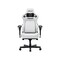 Фото - Кресло для геймеров Anda Seat Kaiser 4 V2 Size XL PVC White (AD12YDDC-XLL-20-W-PV/C-03) | click.ua