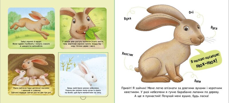 Познайомся і погладь! Лісові тварини