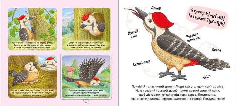 Познайомся і погладь! Лісові тварини