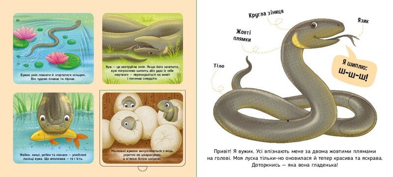 Познайомся і погладь! Лісові тварини