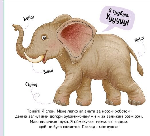 Познакомься и погладь! Животные мира