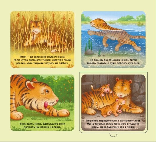 Познакомься и погладь! Животные мира