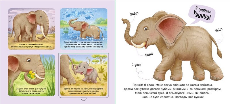 Познакомься и погладь! Животные мира