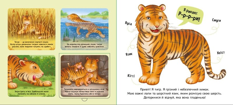 Познакомься и погладь! Животные мира