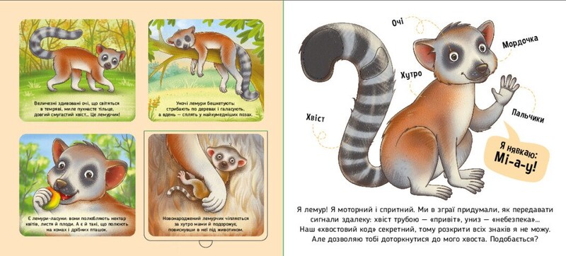 Познайомся і погладь! Тварини світу