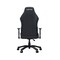 Фото - Кресло для геймеров Anda Seat Luna Size L  Black (AD18-44-B-PV) | click.ua
