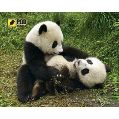 Коврик для мыши Podmyshku Панды
