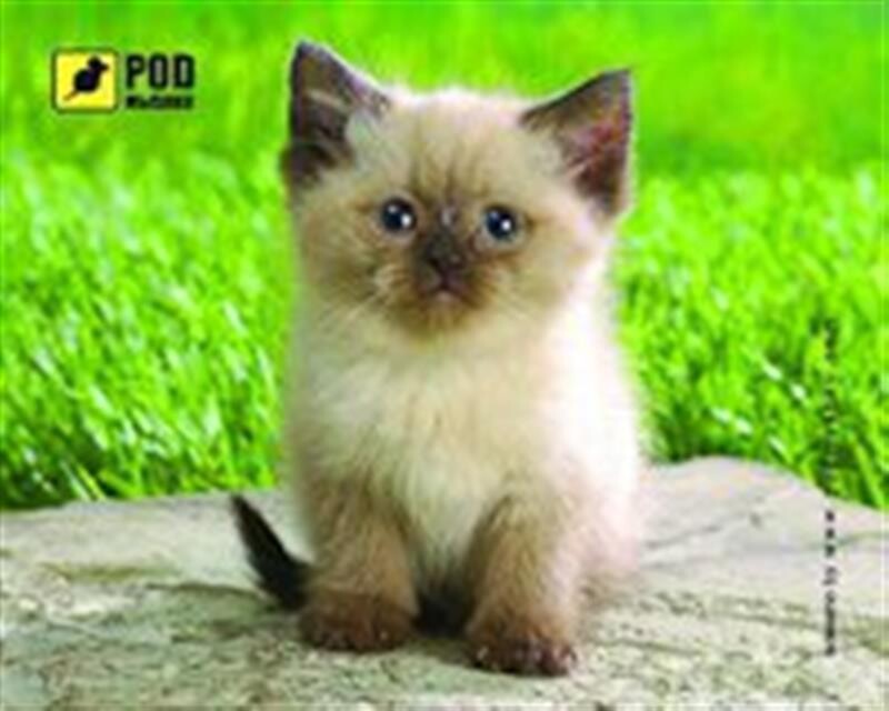 Коврик для мыши Podmyshku Сиамский котик