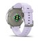 Фото - Смарт-годинник Garmin Venu 4 41mm Silver Bezel with Periwinkle Silicone Band (010-03013-01) | click.ua