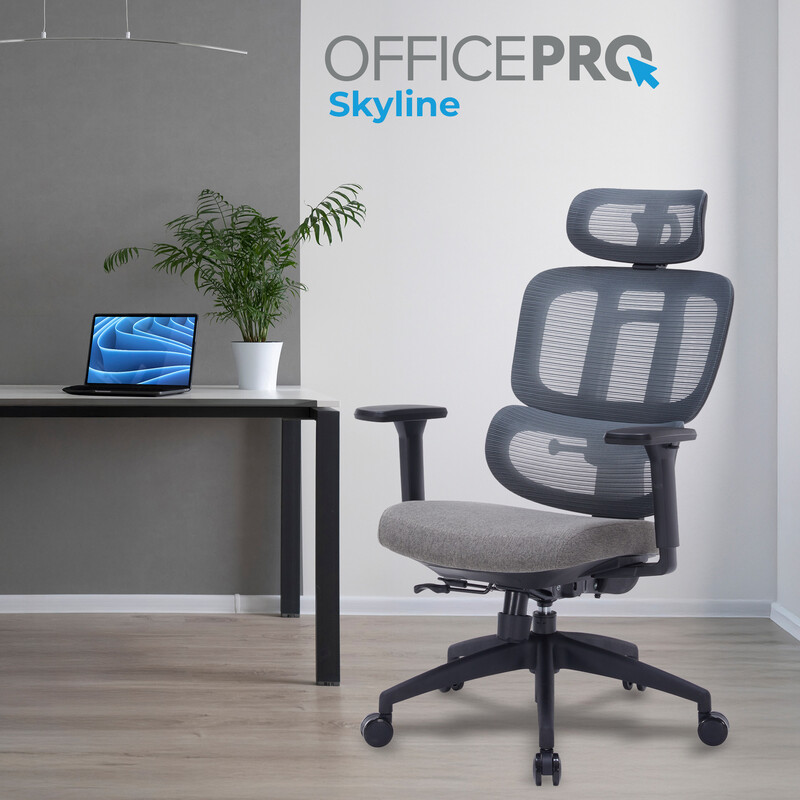 Крісло офісне OfficePro Skyline Black/Dark Gray (OC580-B-DG-DG)