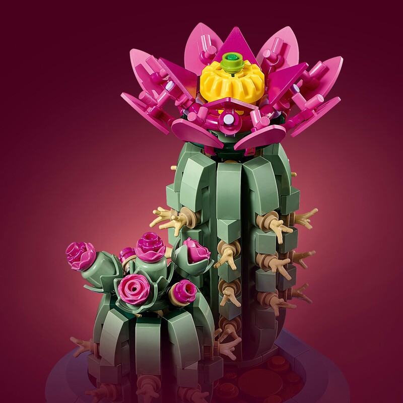 Конструктор LEGO Botanicals Цвітіння кактуса (11509)