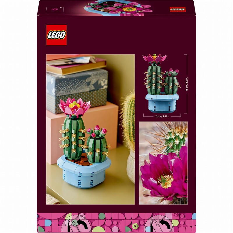 Конструктор LEGO Botanicals Цвітіння кактуса (11509)