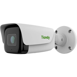 IP камера Tiandy TC-C38TS Spec:I8/A/E/Y/M/H/2.7-13.5mm/V4.0