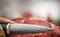 Фото - Нож Tefal Ice Force (K2320214) | click.ua