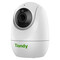Фото - IP камера Tiandy TC-H342N | click.ua
