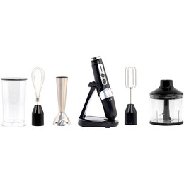 Блендер QUIN RHB-301