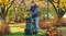 Фото - Подрiбнювач Bosch AXT 25 TC (0.600.803.30C) | click.ua
