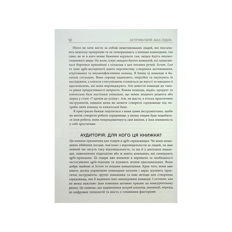 Інструментарій Agile-лідера / Пітер Конінг