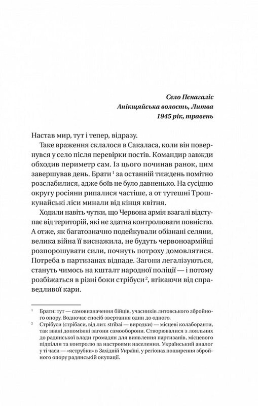 Подпольное государство / Андрей Кокотяха