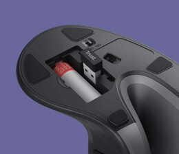 Мышь беспроводная Trust Verro Ergonomic Black (23507)