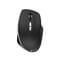 Фото - Мишка бездротова Canyon MW-21 Black (CNS-CMSW21B) USB | click.ua
