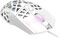 Фото - Мишка Canyon Puncher CND-SGM20W White USB | click.ua