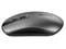 Фото - Миша бездротова Canyon CNS-CMSW18DG Dark Grey | click.ua