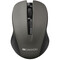 Фото - Миша бездротова Canyon CNE-CMSW1G Grey | click.ua