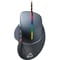 Фото - Мышь Canyon Apstar CND-SGM12RGB Black | click.ua