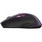 Фото - Миша бездротова Canyon CNS-CMSW01P Purple | click.ua