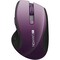 Фото - Миша бездротова Canyon CNS-CMSW01P Purple | click.ua