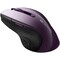 Фото - Миша бездротова Canyon CNS-CMSW01P Purple | click.ua