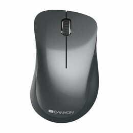 Мышь беспроводная Canyon CNE-CMSW11B Black