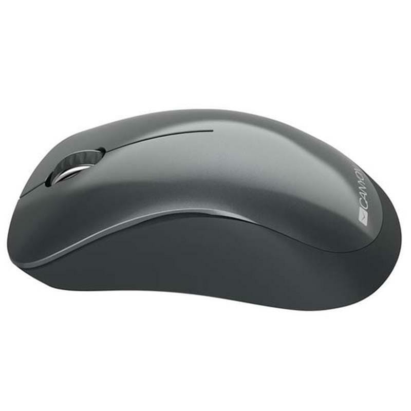 Мышь беспроводная Canyon CNE-CMSW11B Black