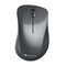 Фото - Миша бездротова Canyon CNE-CMSW11B Black | click.ua