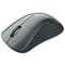 Фото - Мышь беспроводная Canyon CNE-CMSW11B Black | click.ua