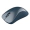 Фото - Миша бездротова Canyon CNE-CMSW11BL Blue | click.ua