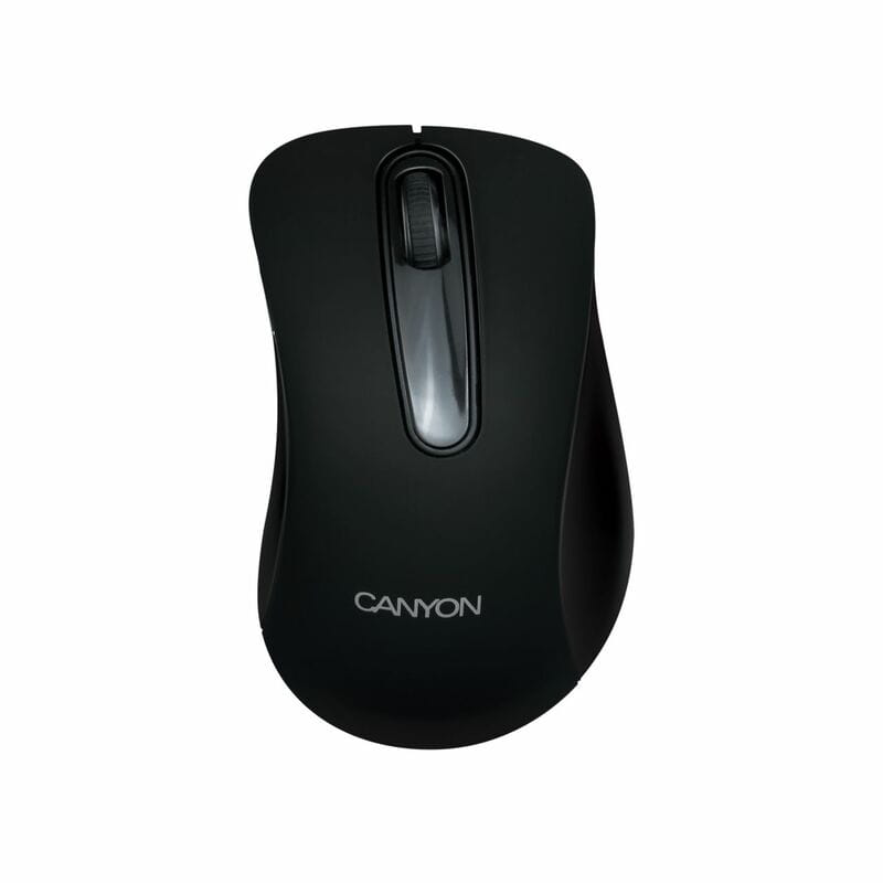 Мышь беспроводная Canyon CNE-CMSW2 Black USB