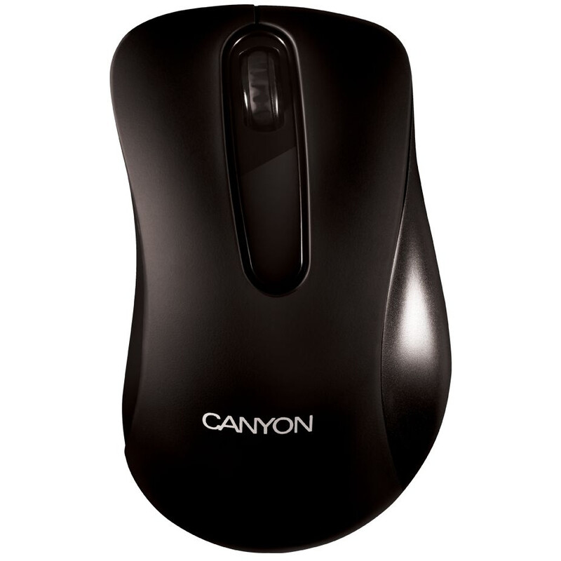 Мышь Canyon CNE-CMS2 Black USB