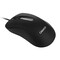 Фото - Мышь Canyon CNE-CMS2 Black USB | click.ua