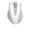 Фото - Мышь беспроводная A4Tech Fstyler FG55S Plus White | click.ua
