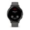 Фото - Смарт-часы Garmin Venu 3s Slate Stainless Steel Bezel with Pebble Gray and Silicone Band (010-02785-00) | click.ua