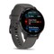 Фото - Смарт-часы Garmin Venu 3s Slate Stainless Steel Bezel with Pebble Gray and Silicone Band (010-02785-00) | click.ua