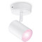Фото - Світильник точковий накладний розумний WiZ Imageo Spots 5W 2200-6500K RGB Wi-Fi White (929002658701) | click.ua