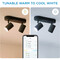 Фото - Світильник точковий накладний розумний WiZ Imageo Spots 2х5W 2200-6500K RGB Wi-Fi Black (929002659101) | click.ua