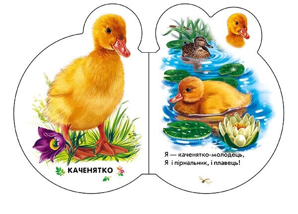 Малыши. В деревне / Ирина Солнышко