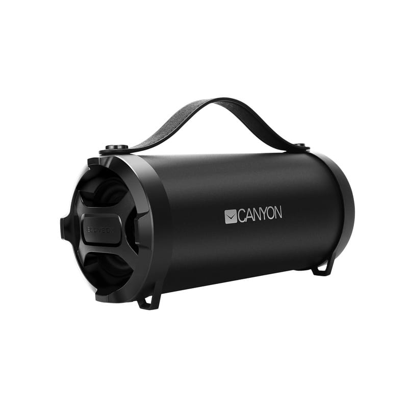 Bluetooth-колонка Canyon CNE-CBTSP6 Black