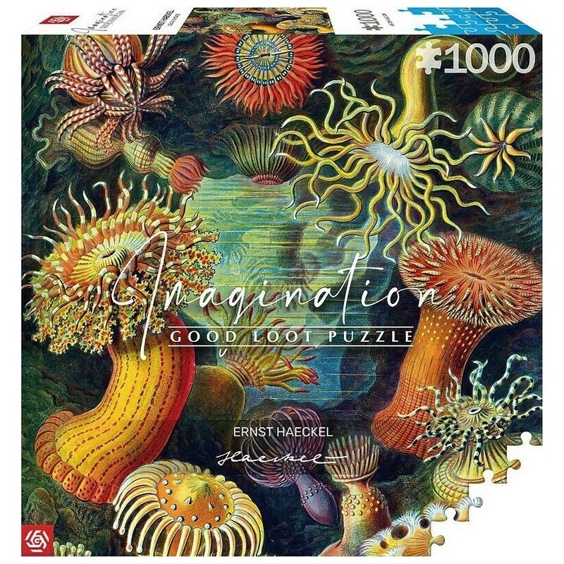 Пазл GoodLoot Imagination: Ernst Haeckel: Sea Anemones (5908305244943)