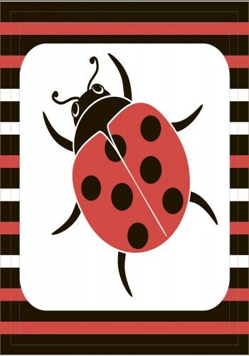 Лапотушечка. Контрастная книжка для новорожденного / Кривцова П.